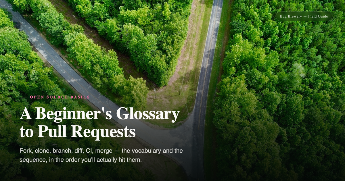 A Beginner's Glossary to Pull Requests